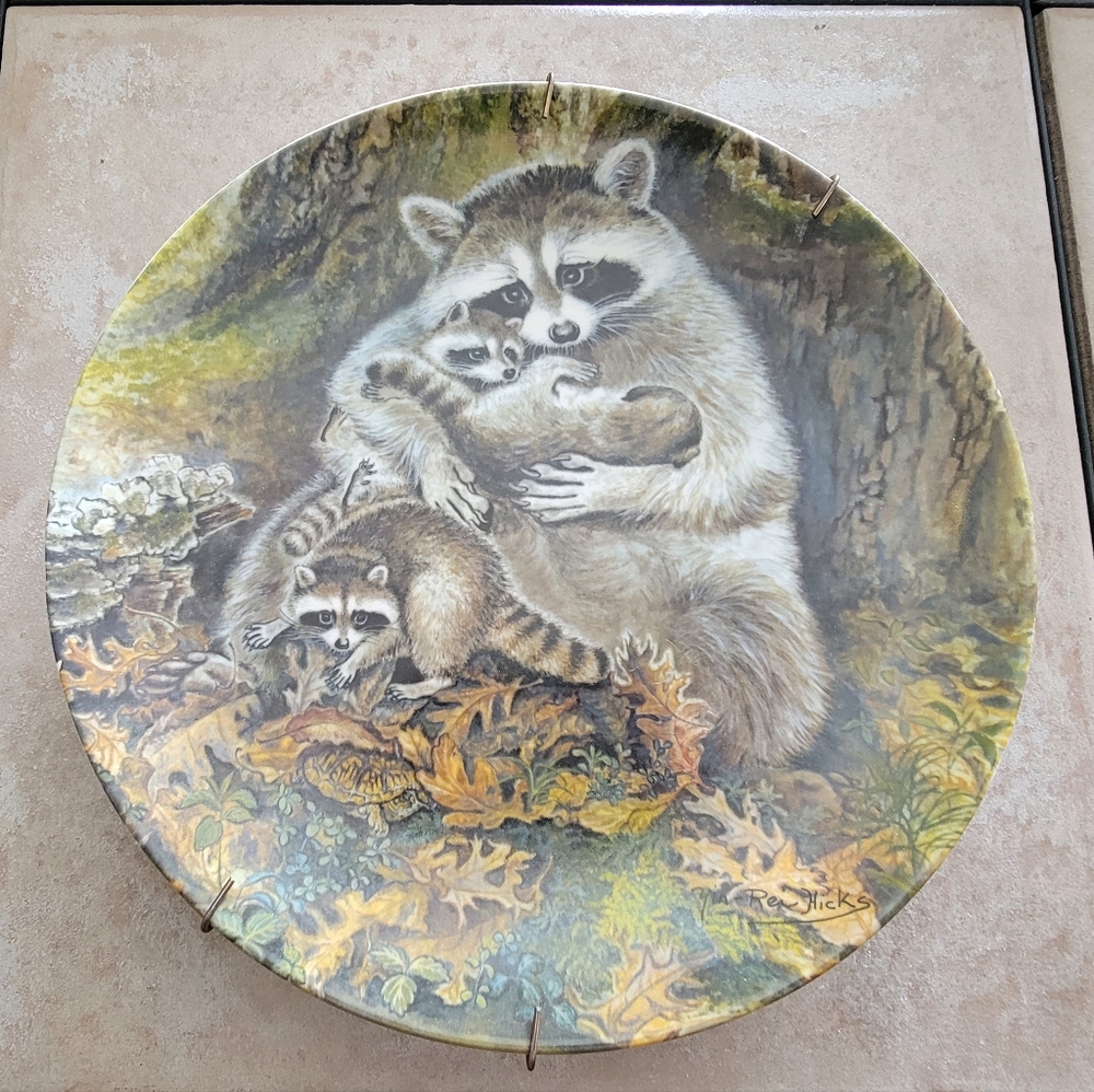 Plate A Protective Embrace